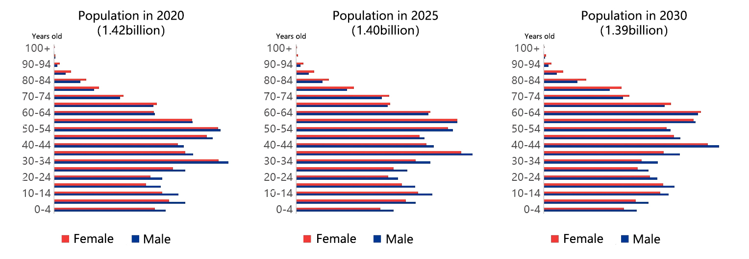 2025‑2060 China Age Structure Projection Results (Provincial)