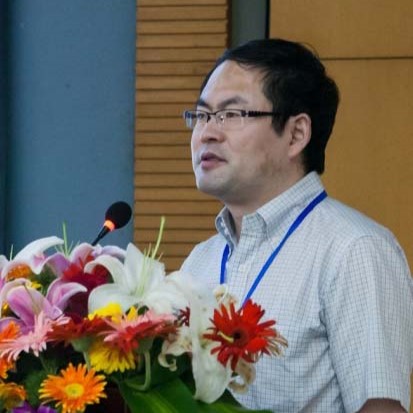 CHAI Yanwei