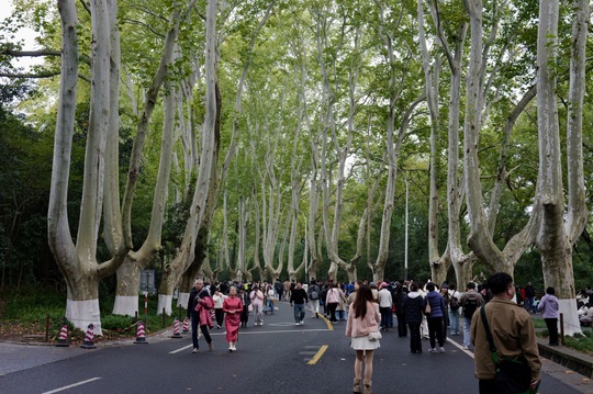 Fieldwork / 考察, 2025