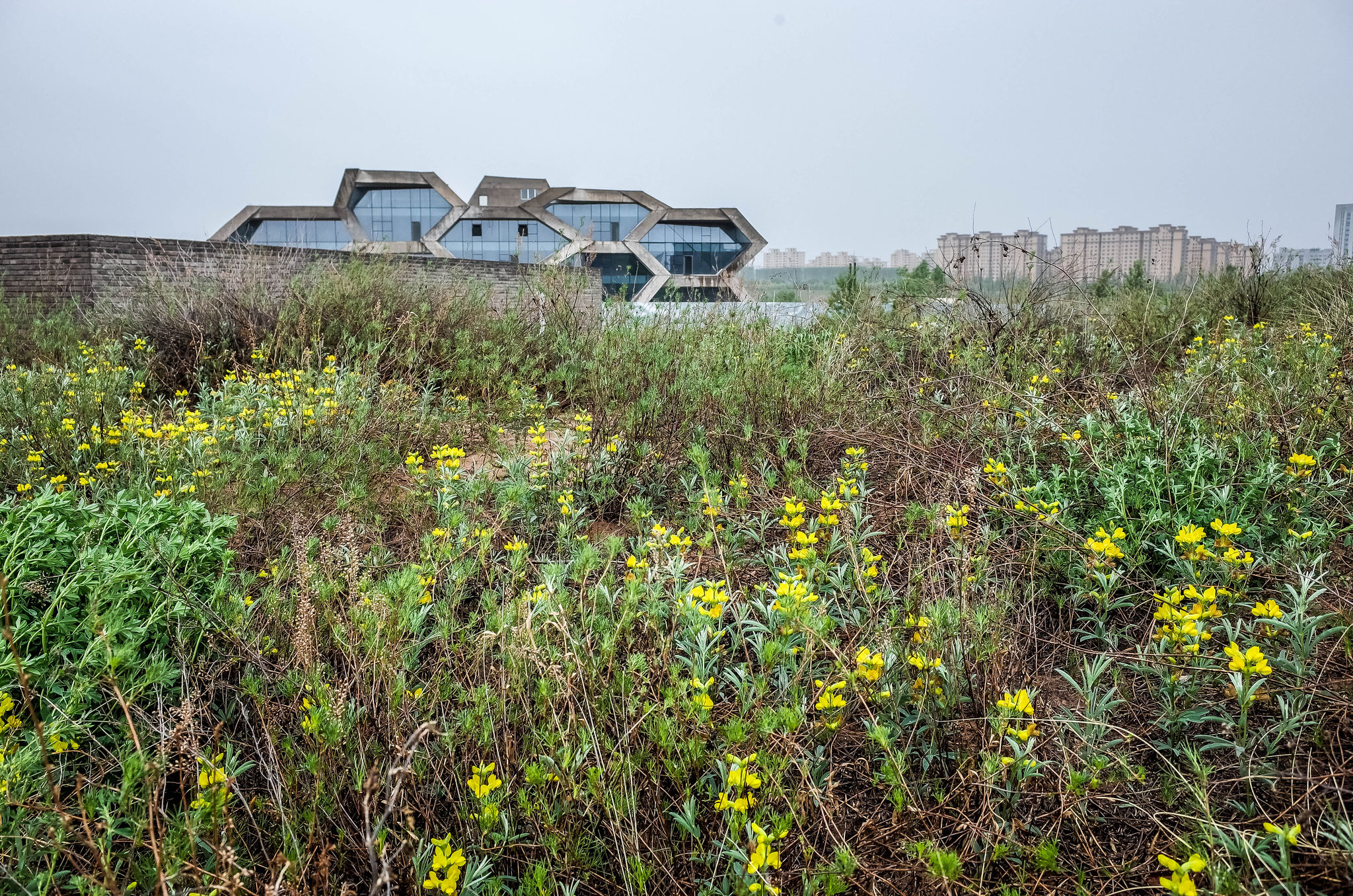 Online Exhibition Image 46