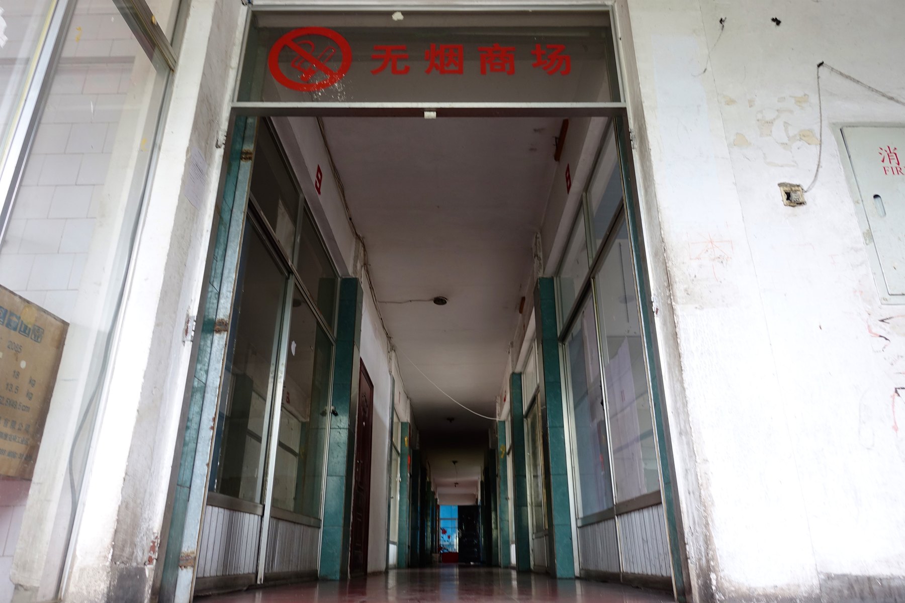 Yichun field photograph 03
